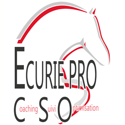 ecurieprocso.com