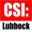 csi-lubbock.com