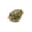 socalseedco.com