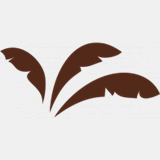 mustangrecreation.org