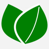 brainwaveskauai.com