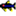 snowbrd.net