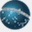 oabprev-rs.org.br