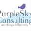 purpleskyconsulting.com