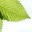 ruralservices2011.wordpress.com