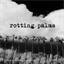 rottingpalms.bandcamp.com