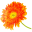 fhgardencenter.com