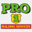 pro1buildingservices.com.au