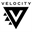 velocity.consulting