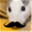 manlymouse.com
