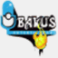 bakusgroups.com