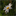 lafeedeboreves.over-blog.com