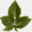 constructivegrowth.net