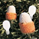 ecolightselectrical.com.au