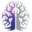 indigolearning.co.za