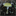 mycobotaniqueugine.over-blog.com