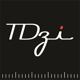 tdziproduction.com