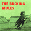 buckingmules.bandcamp.com