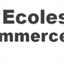 ecoles-commerce.com