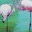 pincelylapiz.wordpress.com