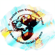 ezdtg.com