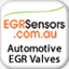 egrsensors.com.au