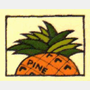 pine-global.com