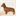 dachshundhealth.com
