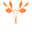 ccoss7.org