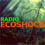 ecoshock.info