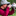 digitalvideocreation.com