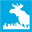 moose-in-the-city.com