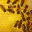 holmorganics.wordpress.com