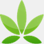 medicinskcannabis.info