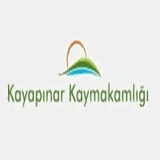 kayapinar.gov.tr