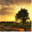 charltonyounkin.wordpress.com