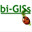 bi-giss.com