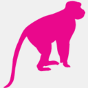 iriszoo.com