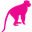 iriszoo.com