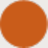 apricotcs.com