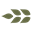 appliedgenetics.org
