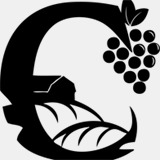cobaltdoo.com