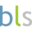 bridgeslanguageschool.com