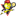 modulnordic.uown.it