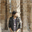 cognitivesoftware.net