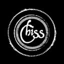 chicagostreetstrings.com