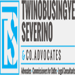 tseverinoadvocates.com