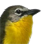 windowtowildlife.com
