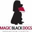 magicblackdogs.grok42.it