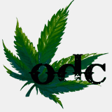 ondeckcoop.com